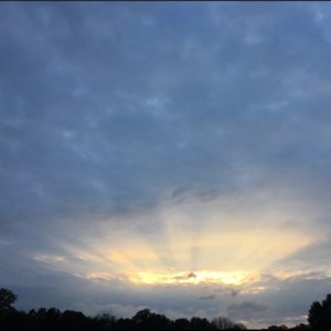 Meet your Posher, Sim